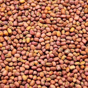 Red Cowpeas